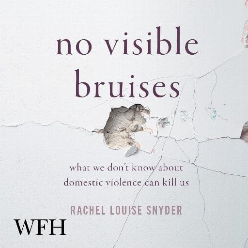 book cover for No Visible Bruises