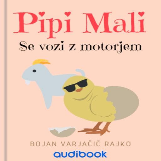 book cover for Pipi Mali se vozi z motorjem