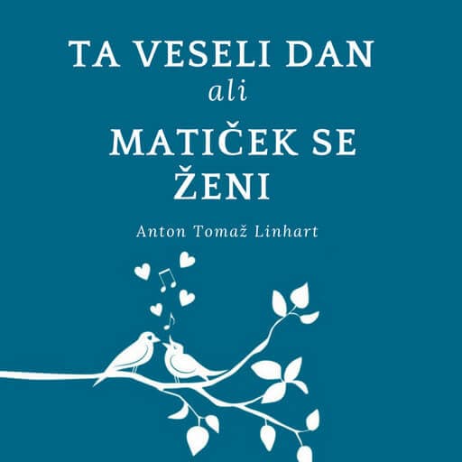 book cover for Ta veseli dan ali Matiček se ženi