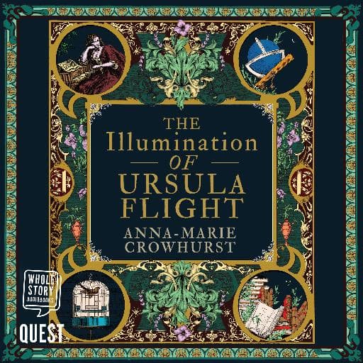 book cover for The Illumination of Ursula Flight