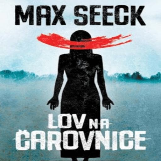 book cover for Lov na čarovnice