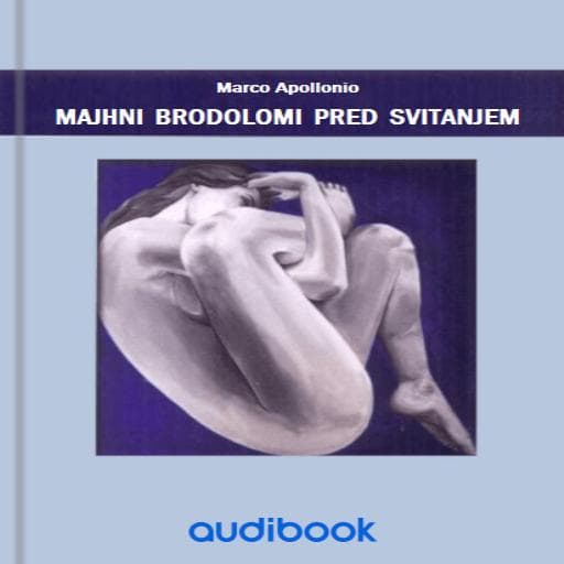 book cover for Majhni brodolomi pred svitanjem