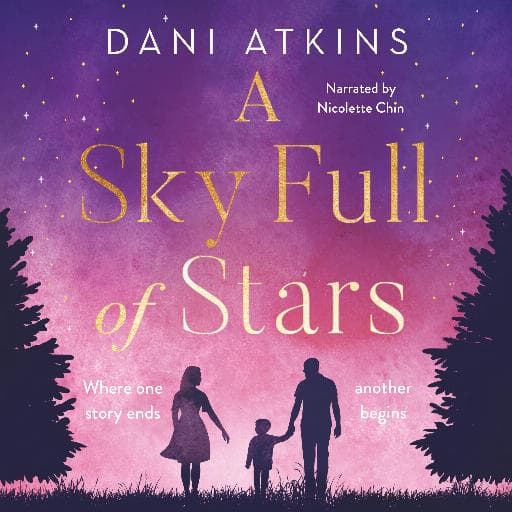 book cover for A Sky Full of Stars