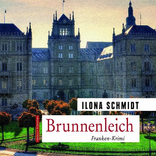 book cover for Brunnenleich