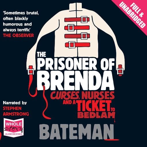 book cover for The Prisoner of Brenda
