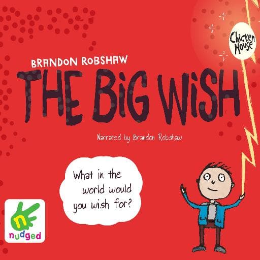 book cover for The Big Wish