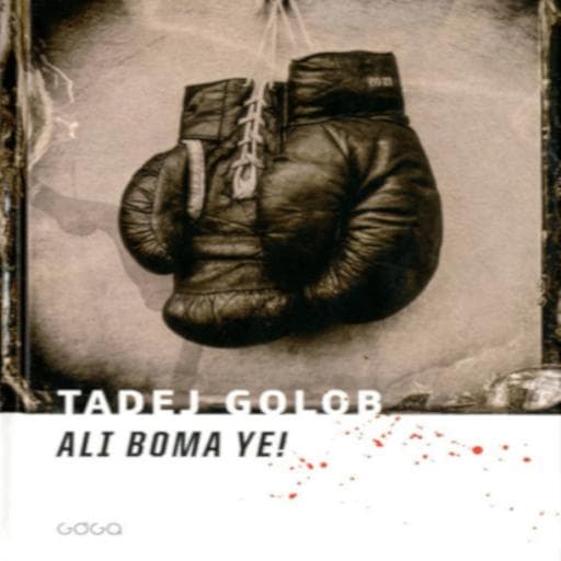 book cover for Ali boma ye!