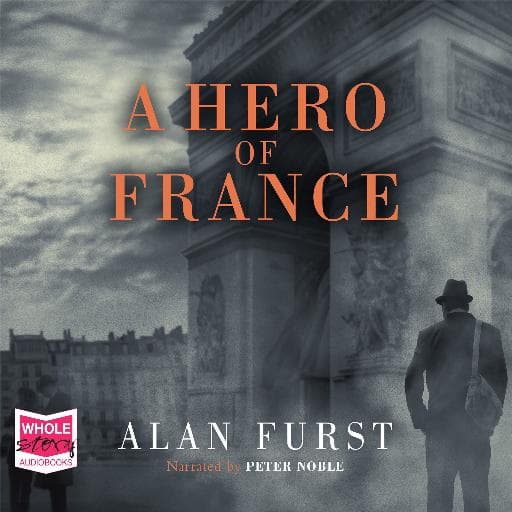 book cover for A Hero of France