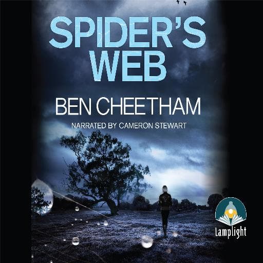book cover for Spider's Web