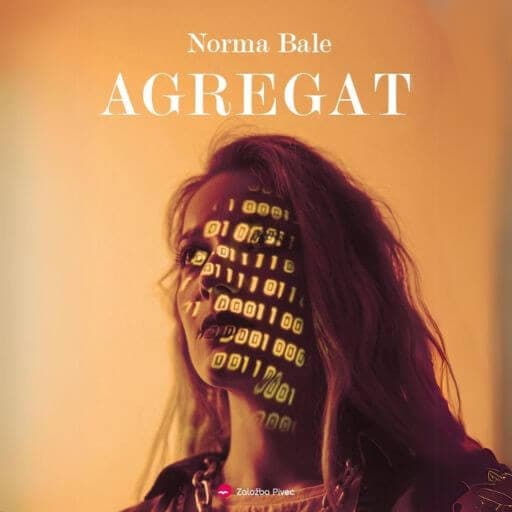 book cover for Agregat