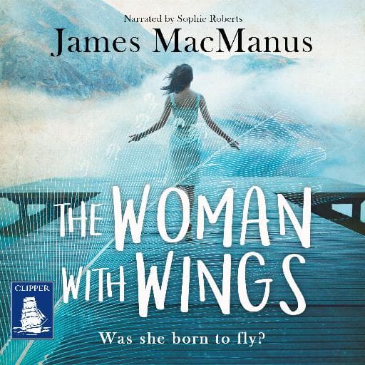 book cover for The Woman With Wings
