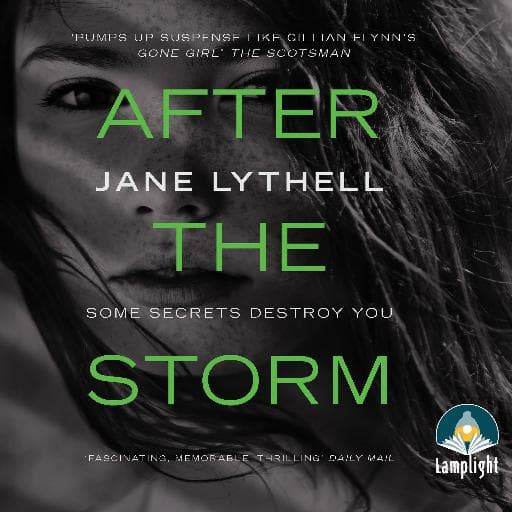 book cover for After the Storm