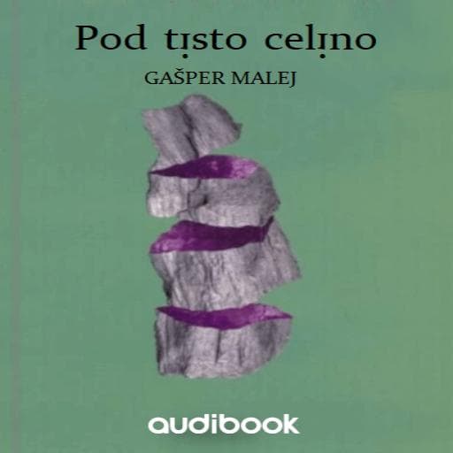 book cover for Pod tisto celino