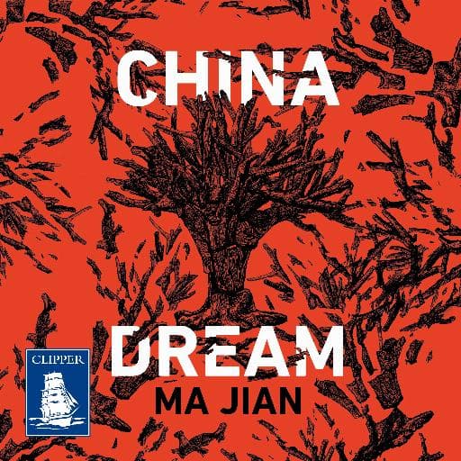 book cover for China Dream