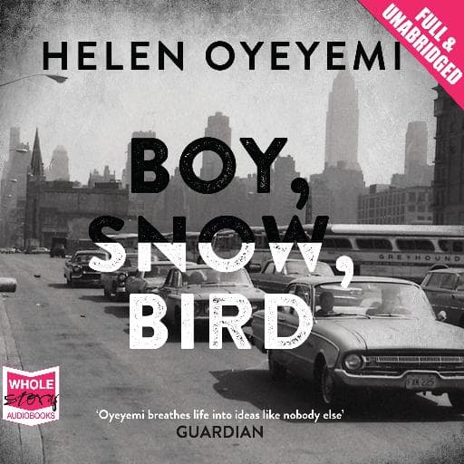 book cover for Boy, Snow, Bird