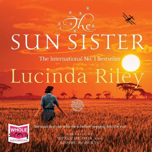 book cover for The Sun Sister