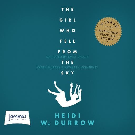 book cover for The Girl Who Fell From the Sky