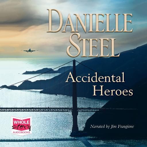 book cover for Accidental Heroes