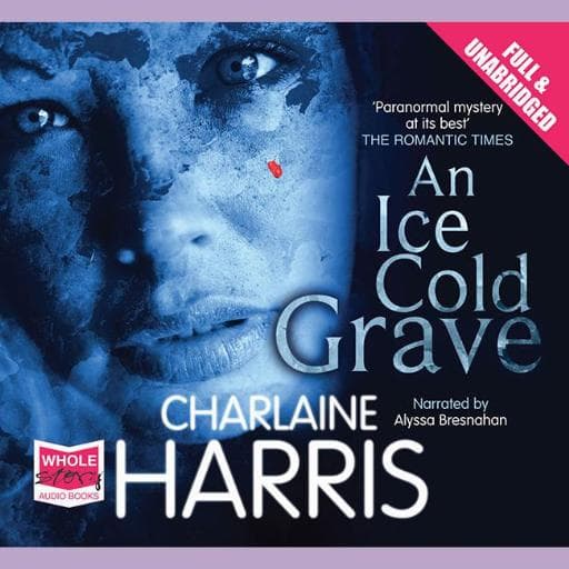 book cover for An Ice Cold Grave