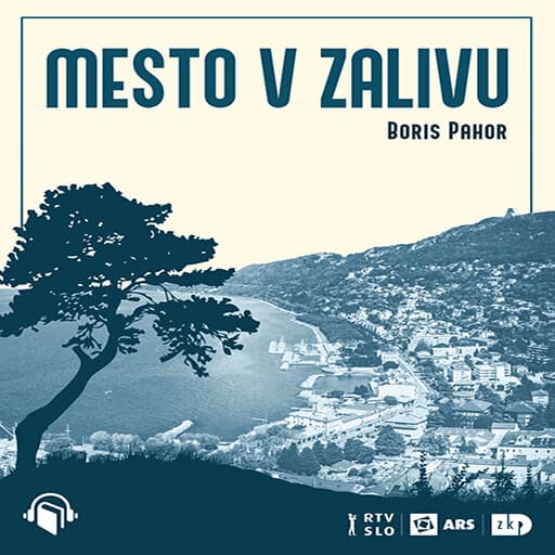 book cover for Mesto v zalivu