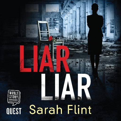 book cover for Liar Liar