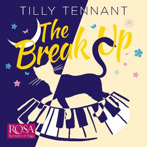 book cover for The Break Up