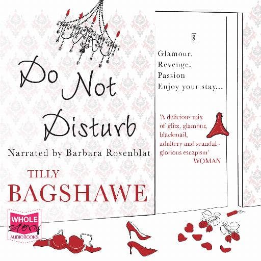 book cover for Do Not Disturb