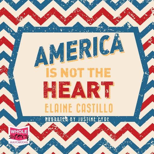 book cover for America is Not the Heart