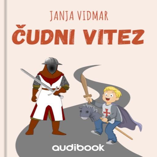 book cover for Čudni vitez