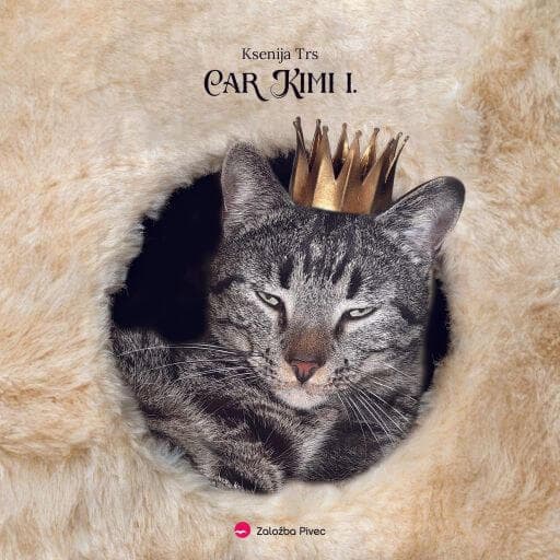 book cover for Car Kimi I
