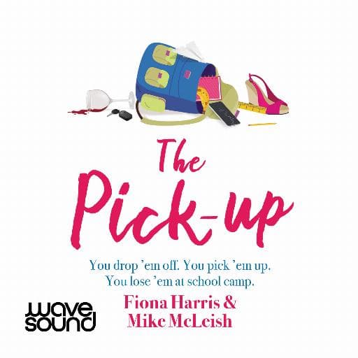 book cover for The Pick Up