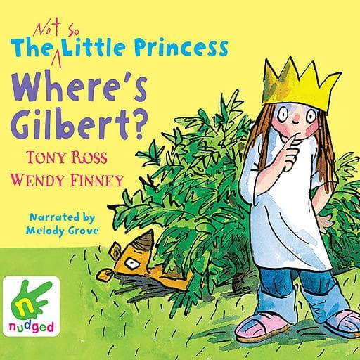 book cover for The Not So Little Princess