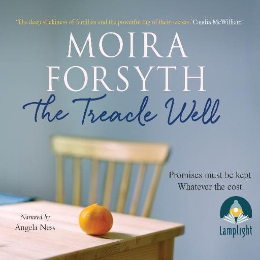 book cover for The Treacle Well