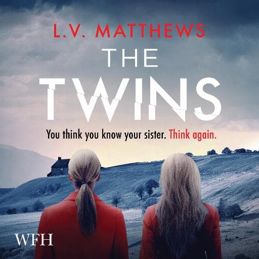 book cover for The Twins