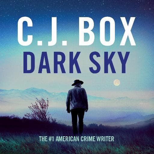 book cover for Dark Sky