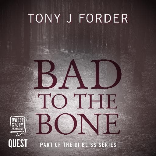 book cover for Bad to the Bone