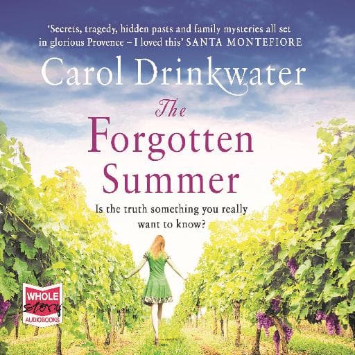 book cover for The Forgotten Summer