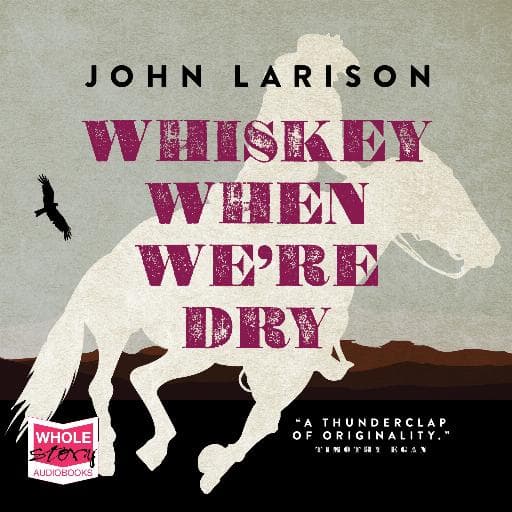 book cover for Whiskey When We're Dry