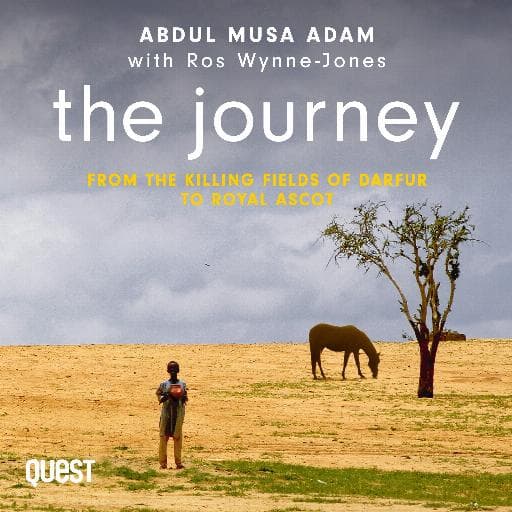 book cover for The Journey