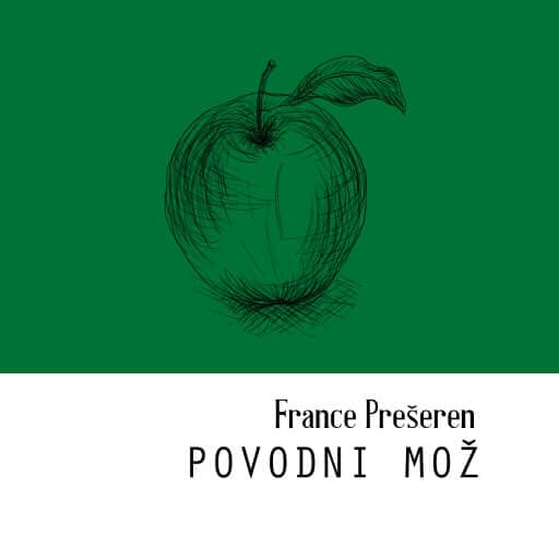 book cover for Povodni mož