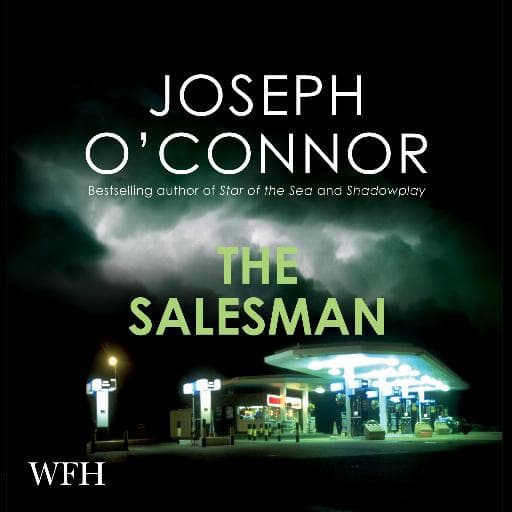 book cover for The Salesman