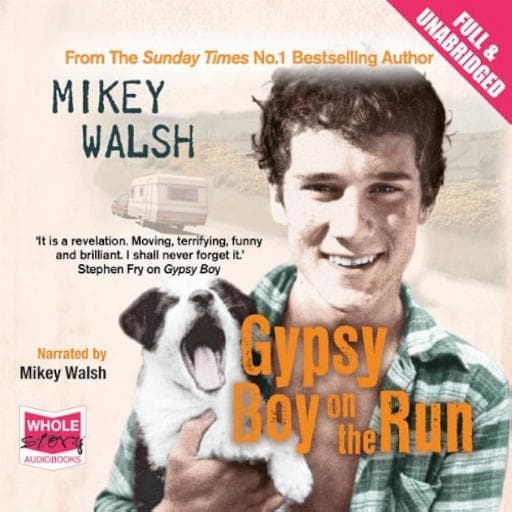 book cover for Gypsy Boy on the Run