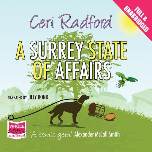 book cover for A Surrey State of Affairs