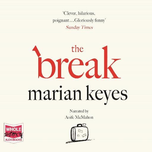 book cover for The Break