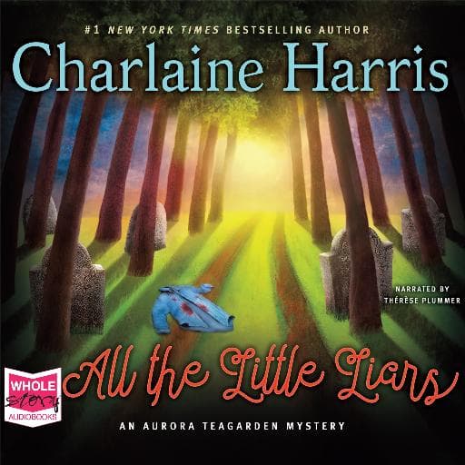 book cover for All the Little Liars