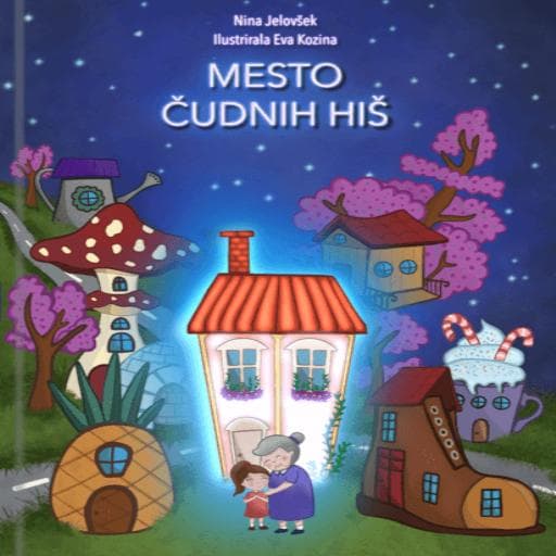 book cover for Mesto čudnih hiš