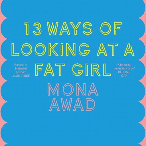 book cover for 13 Ways of Looking at a Fat Girl