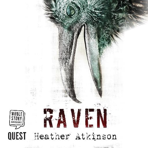 book cover for Raven