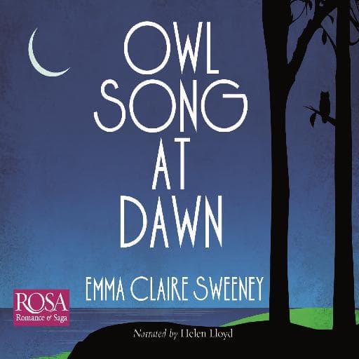 book cover for Owl Song At Dawn