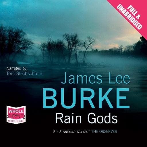 book cover for Rain Gods